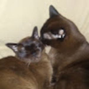 Meet your Posher, Debra